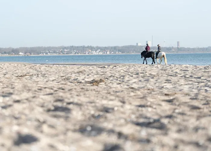 公寓 Wohnpark Am Muehlenteich - 36 *